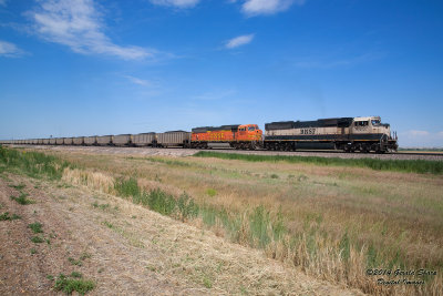 bnsf9765_west_at_tampa_co.jpg