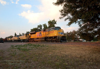 up8669_south_at_brighton_co.jpg