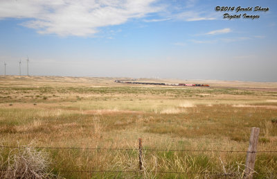 BNSF 4981 South Near Peetz, CO