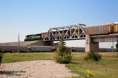 swan_ranch_local_at_cheyenne_2.jpg