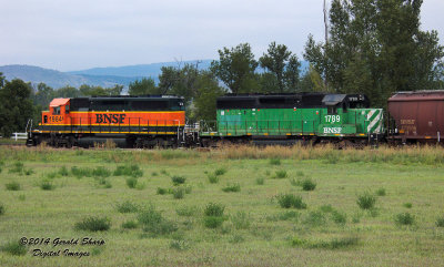 BNSF 1985 South Switching At Highland, CO