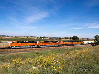 bnsf8987_east_at_tonville_co.jpg