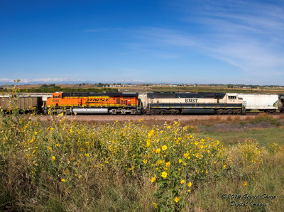 bnsf9742_east_at_tonville_co.jpg