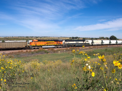 bnsf9742_east_at_tonville_co_2.jpg