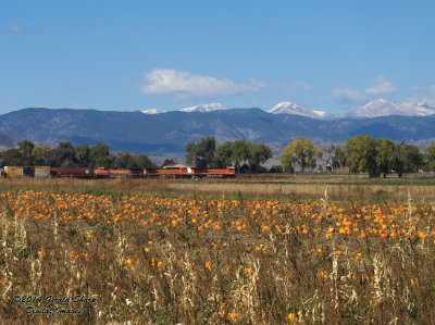 great_pumpkin_north_of_longmont_co.jpg