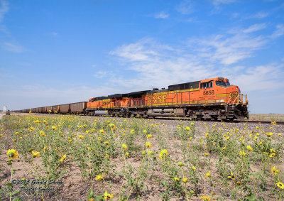 BNSF 5658 East At East Roggen, CO