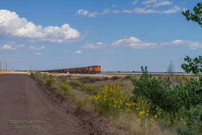 BNSF 6251 West At Tampa, CO.jpg