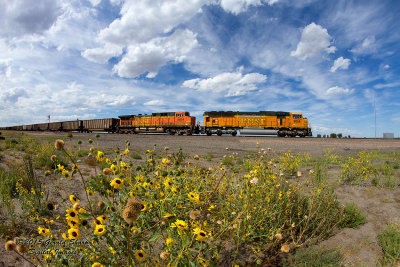 BNSF 9856 East At East Roggen, CO.jpg