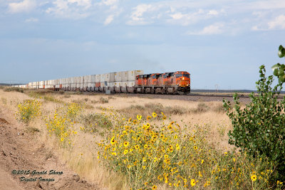 BNSF 7934 East At Tampa, CO.jpg