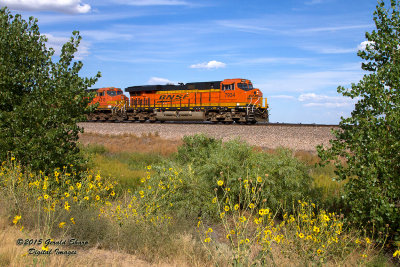 BNSF 7934 West At Tampa, CO.jpg