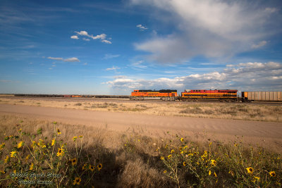 BNSF 8471 East At Tampa, CO.jpg