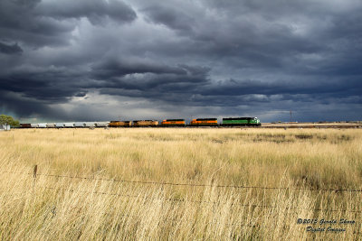 BNSF 1415 South Longmont Switch At SSS Longs Peak, CO