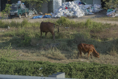 _0524 entre le Mkong et Saigon.jpg