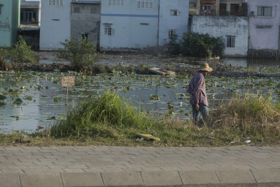 _0541 Danang.jpg