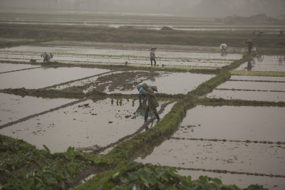_1409 entre Hanoi et Ha Long.jpg
