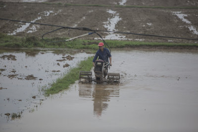 _1416 entre Hanoi et Ha Long.jpg
