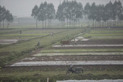 _1417 entre Hanoi et Ha Long.jpg