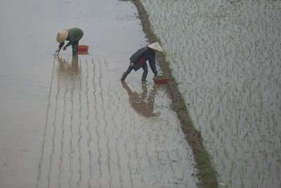 _1419 entre Hanoi et Ha Long.jpg