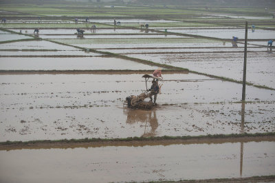 _1425 entre Hanoi et Ha Long.jpg