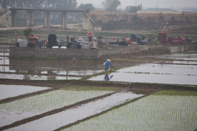_1430 entre Hanoi et Ha Long.jpg