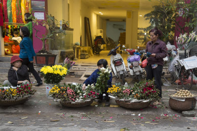 _2153 Hanoi.jpg