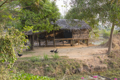 _3826 entre Siem Reap et le Lac Tonle Sap.jpg