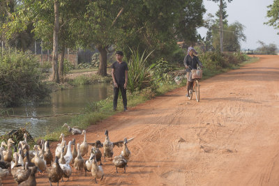 _3885 entre Siem Reap et le Lac Tonle Sap.jpg