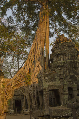 Ta Prohm