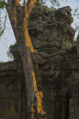 _3442 Ta Prohm.jpg