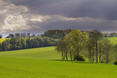 g9/76/720676/3/155400446.HdA97Ecj.jpg