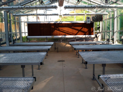Kennesaw State University Greenhouse, pre-settlement
