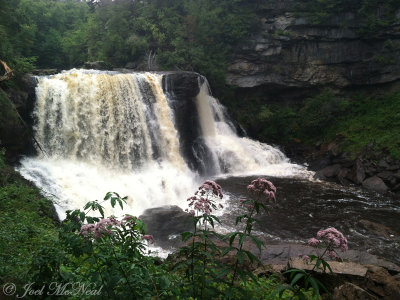 Blackwater Falls; Tucker Co., WV