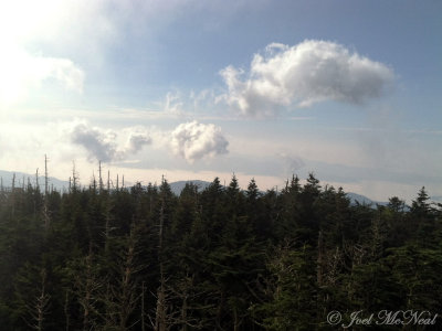 View from Clingman's Dome summit