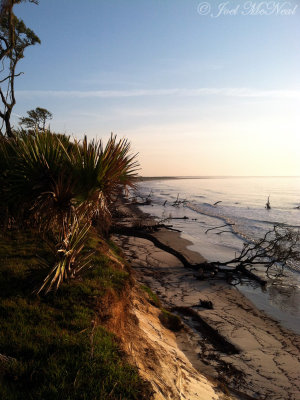 St. Catherines Island bluff & beach; Liberty Co., GA