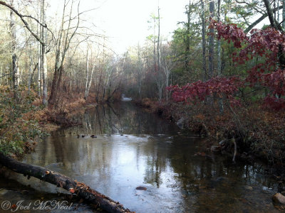 Stamp Creek: Bartow Co., GA