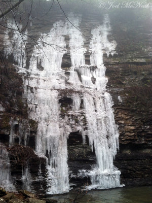 Ice and fog at Cloudland Canyon State Park; Dade Co., GA