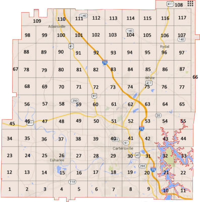 Bartow Co., GA blocks for randomized birding