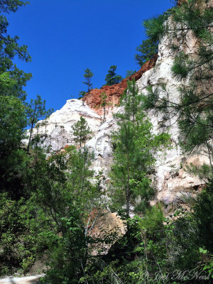 Providence Canyon