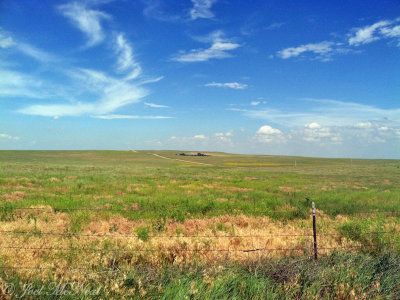 Prairie roadside: Weld Co., CO