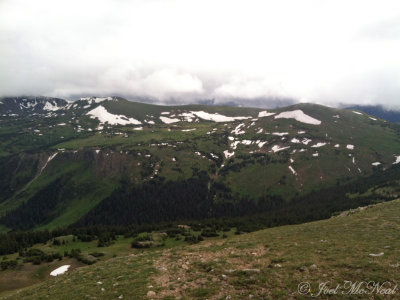 Alpine Tundra: Rocky Mountain NP, Larimer Co., CO
