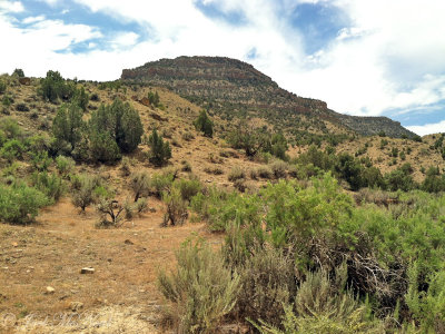 Wild Horse Canyon: Mesa Co., CO