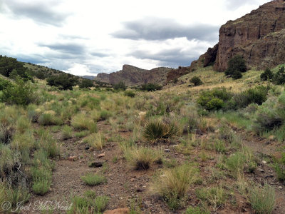 Elephant Rocks area: Saguache Co., CO