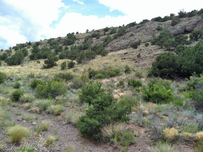 Elephant Rocks area: Saguache Co., CO