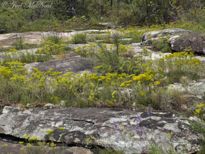 Sandstone Glades, etc.