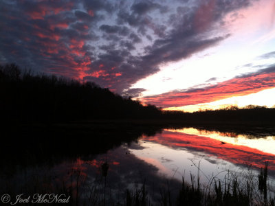 Drummond Swamp at sunset: Bartow Co., GA