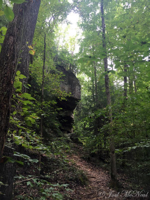 Indian face rock; Natural Bridge Park, Winston Co., AL