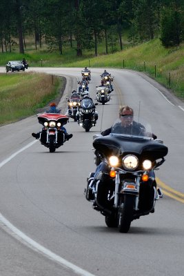 Constant bike traffic