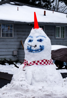 Scarey Snowdude