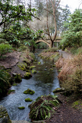 Crystal Springs