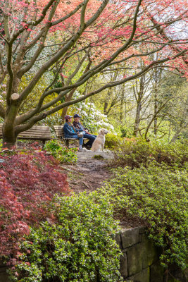 A Spring Day At The Park